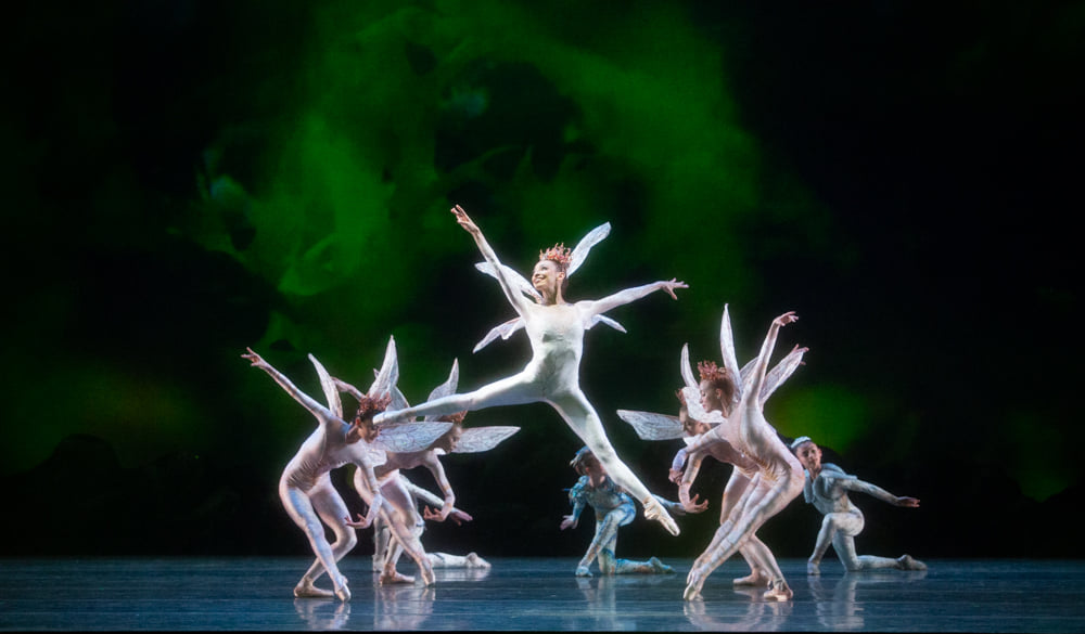 Miami City Ballet Joins The Luxury Network Miami